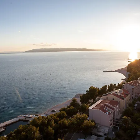 酒店 海洋酒店 3*