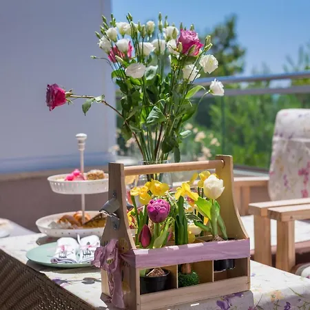 海洋酒店 马卡尔斯卡